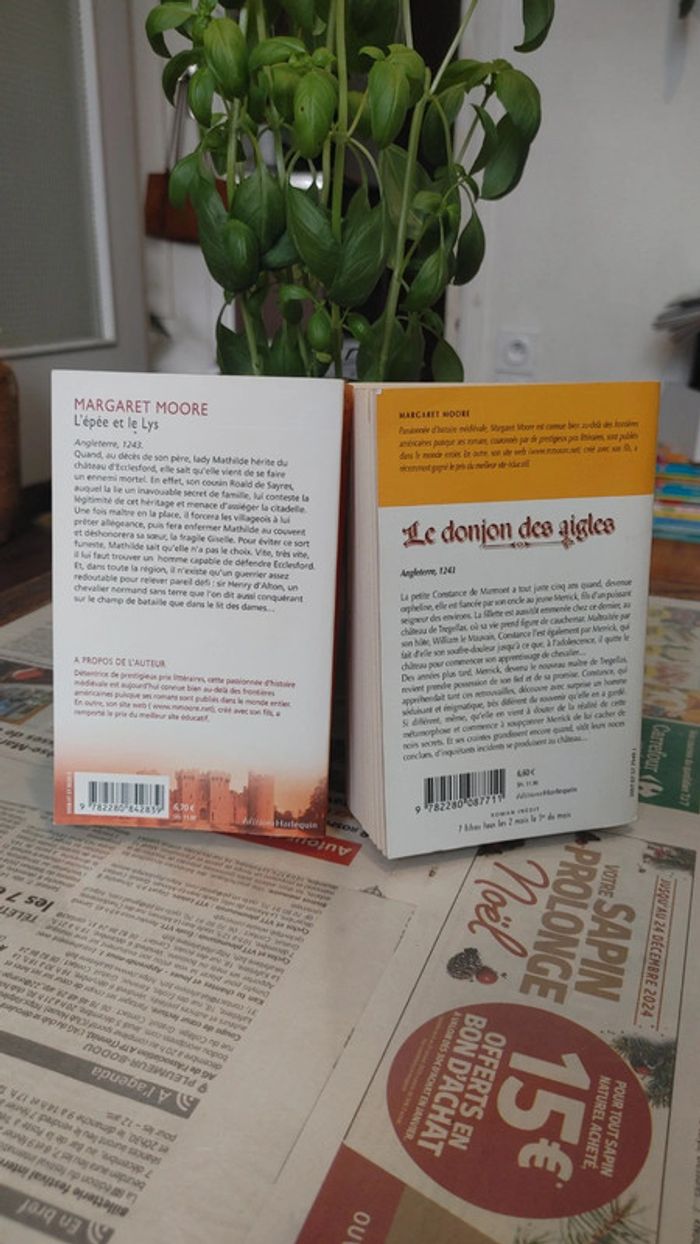 Lot de deux romans d'amour historique best-seller harlequin - photo numéro 2