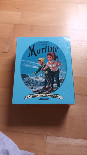 Lots livre martine