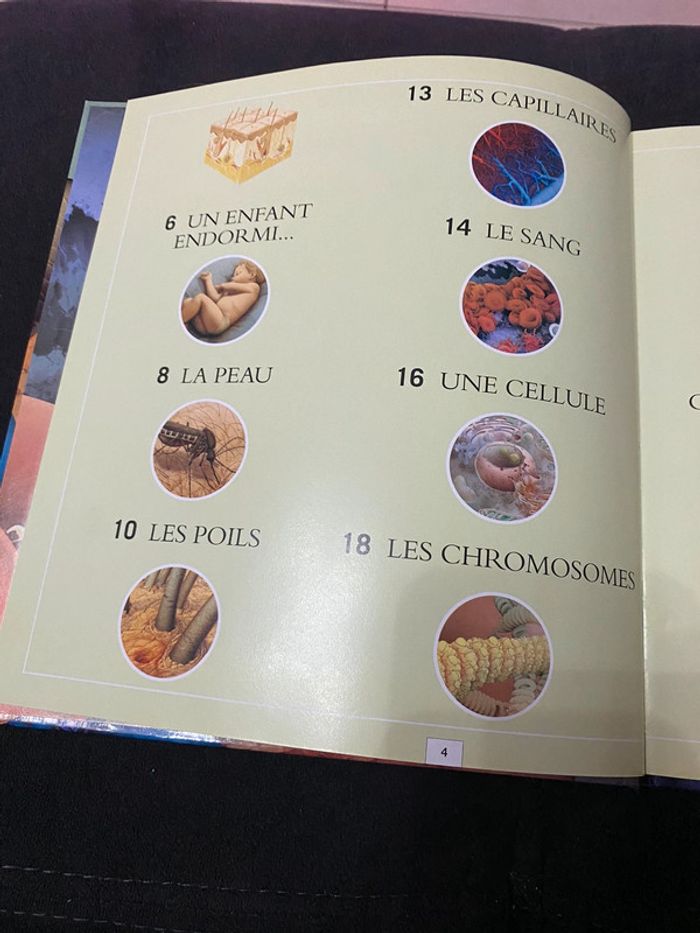 Zoom 🌸 le corps humain - photo numéro 2