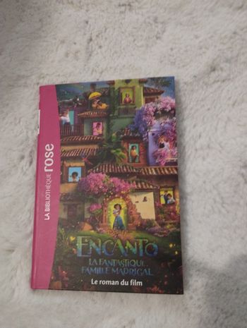 Livre encanto Disney 