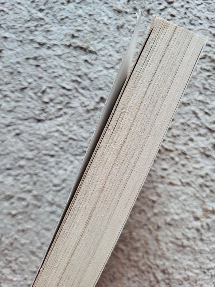 Livre Le bois meurtriers de Ginna Gray - photo numéro 3