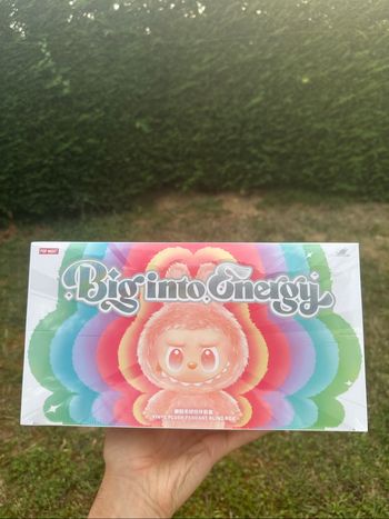 Popmart labubu whole set big into energy