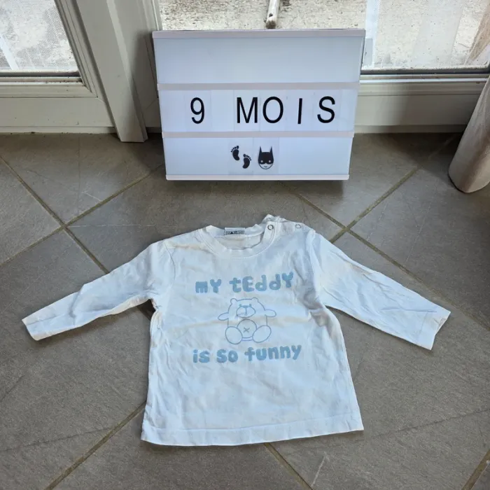 Lot vêtements 9 et 12 mois - photo numéro 2