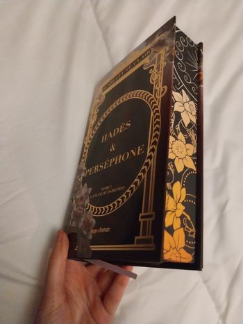 Roman Hadès et Perséphone tome 1 A Touch of Darkness Relié Collector avec jaspage Hugo Romantasy Scarlett St-Clair