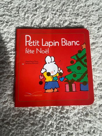 Livre Petit lapin blanc fête Noël