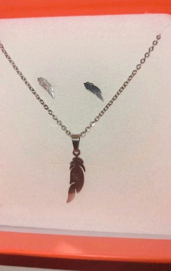 Ensemble en acier inoxydable
argenté plume