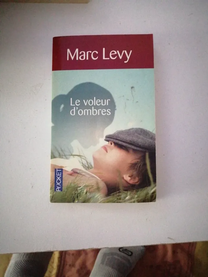 Le voleur d'ombres de Marc Levy