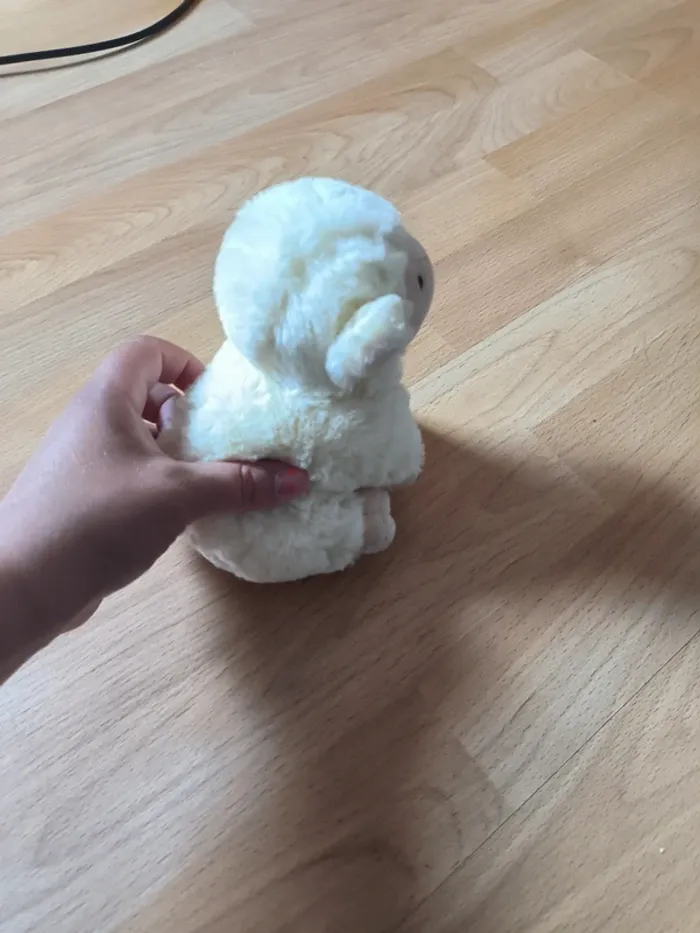 Mouton qui fait du bruit - photo numéro 2