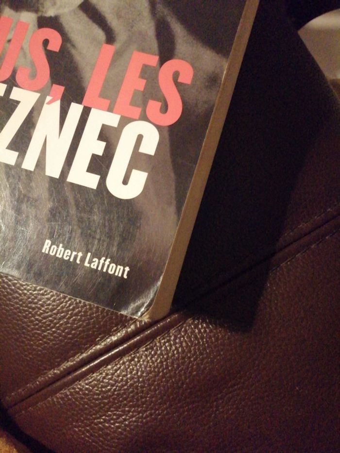 Nous les seznec - photo numéro 6