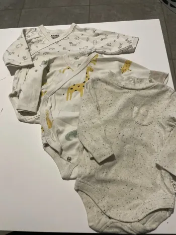 Bodies