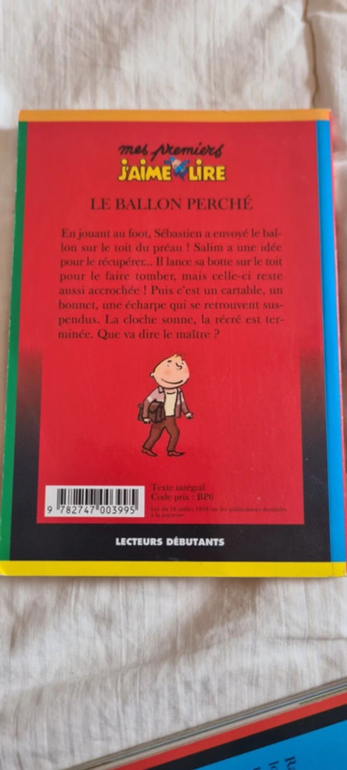 Le ballon perché - photo numéro 2