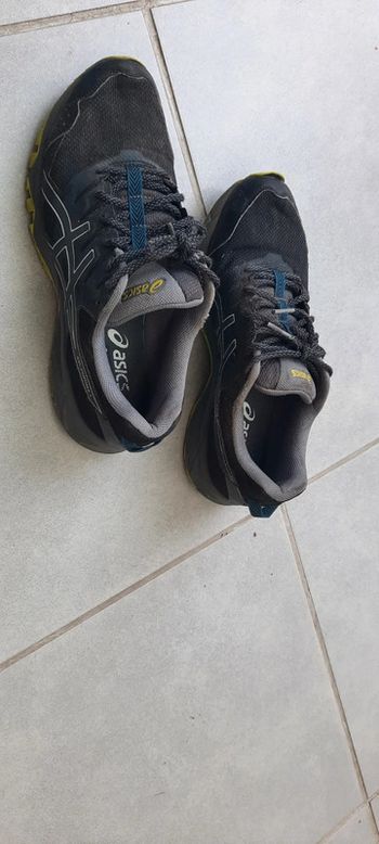 Asics Ortholite