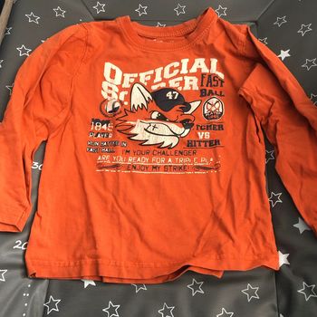 T-shirt, Gemo  Orange renard 5 ans