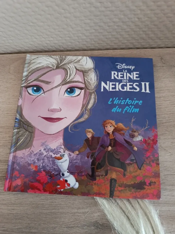 Lot Frozen la reine des neiges - photo numéro 3