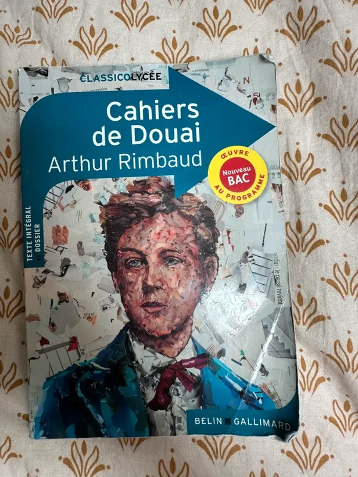 Les Cahiers de Douai – Arthur Rimbaud (poésie classique) - photo numéro 2