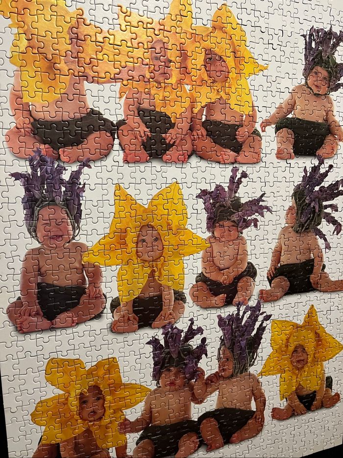 Puzzle Anne Geddes - photo numéro 2