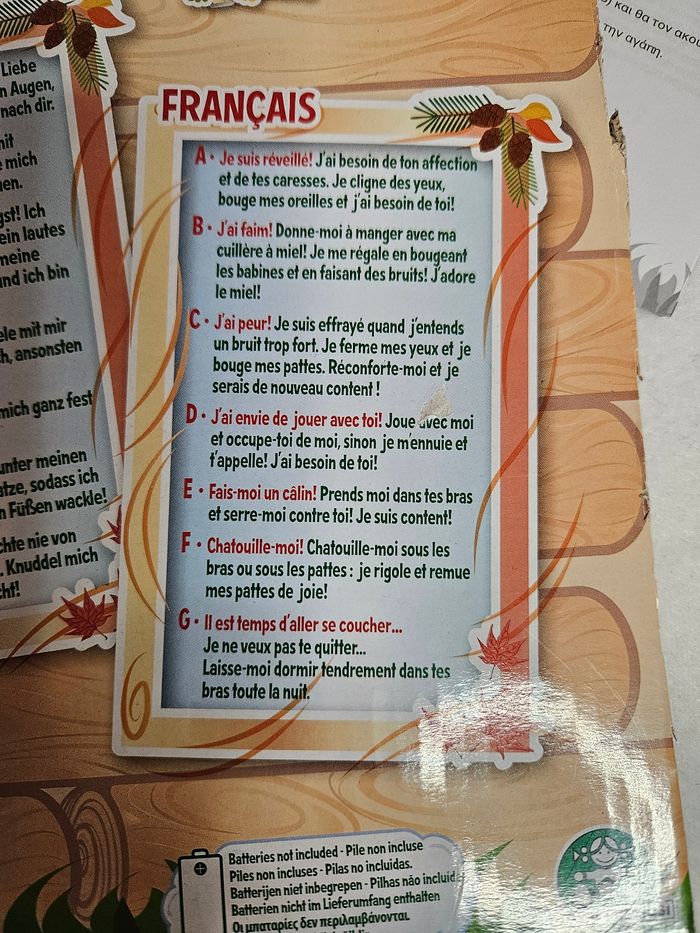 Ours Bruno interactif - photo numéro 2