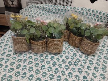 Pot de fleur 