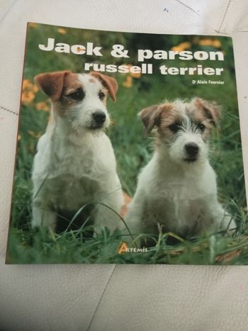 Jack et Russell terrier