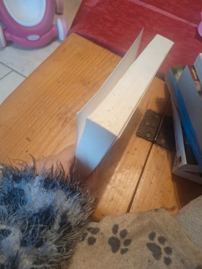 Lionel davoust - photo numéro 4