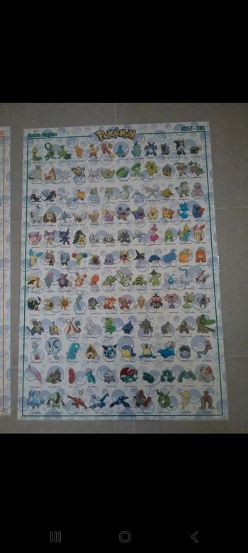 Poster plastifié Pokemon 252 au 386