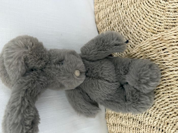 Petit Lapin gris Arthur et Louison - MOULIN ROTY - photo numéro 5