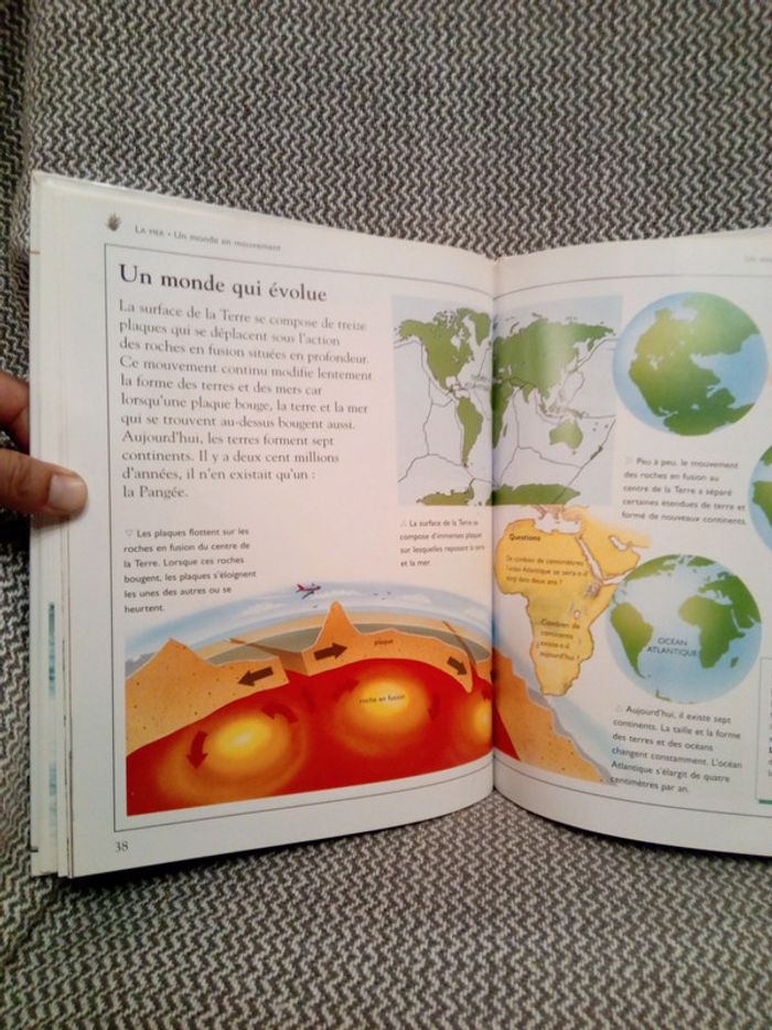 La Mer - Ma première encyclopédie - Ed. Nathan (pour France Loisirs) - photo numéro 12