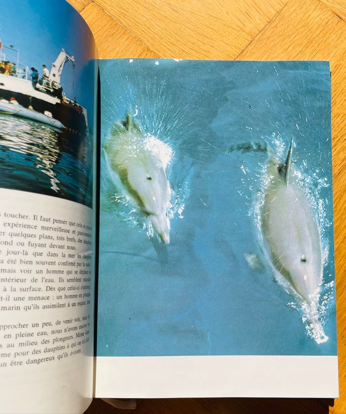 🐬 Les dauphins et la liberté - photo numéro 4