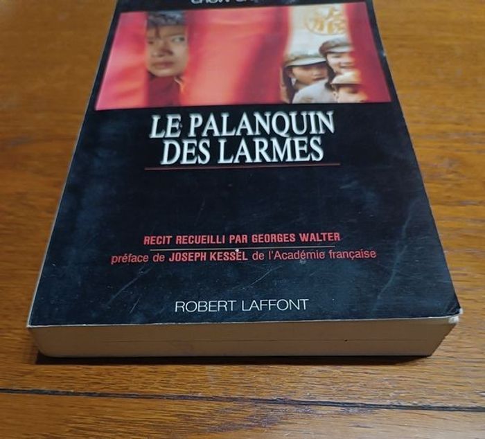 Le palanquin des larmes - photo numéro 4