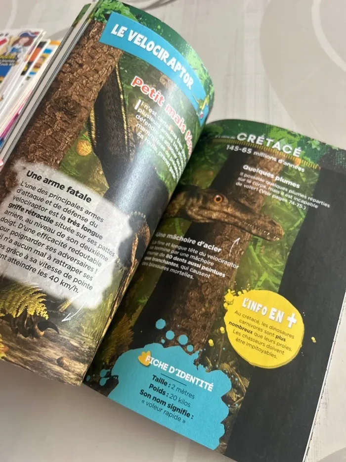 Mystérieux dinosaures - photo numéro 10
