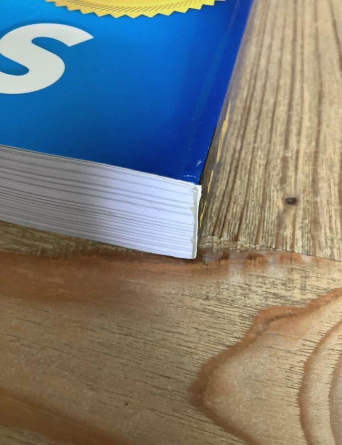 Spécialité SVT terminale Ellipses - photo numéro 8