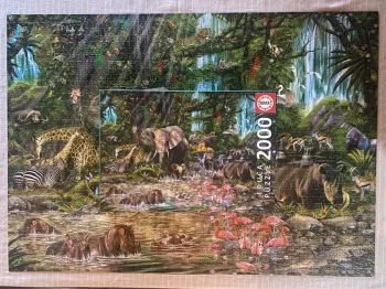 Magnifique puzzle 2000 pièces complet avec boîte d’origine