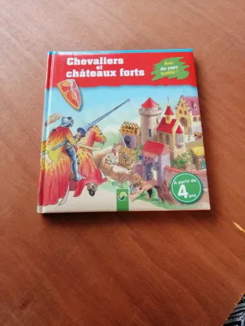 Livre les chevaliers et les châteaux forts
