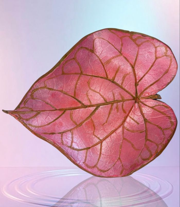 vide poches ou coupelle à bijoux - photo numéro 4