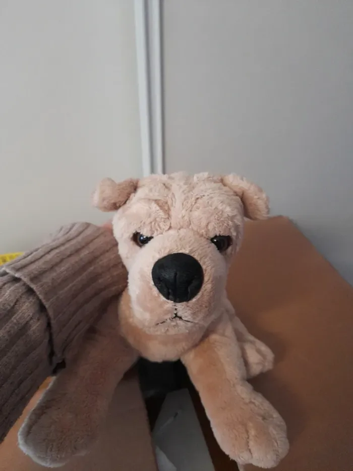 Peluche chien - photo numéro 3