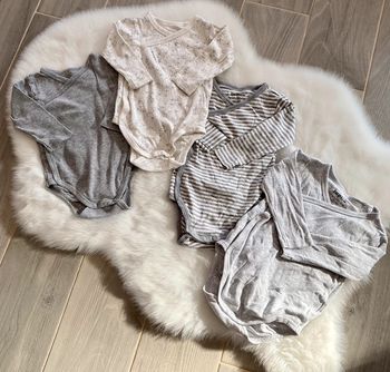 Lot 4 bodies