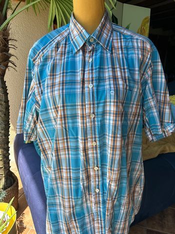 Chemise été olymp