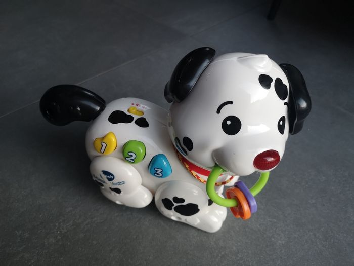 Chien dalmatien musical