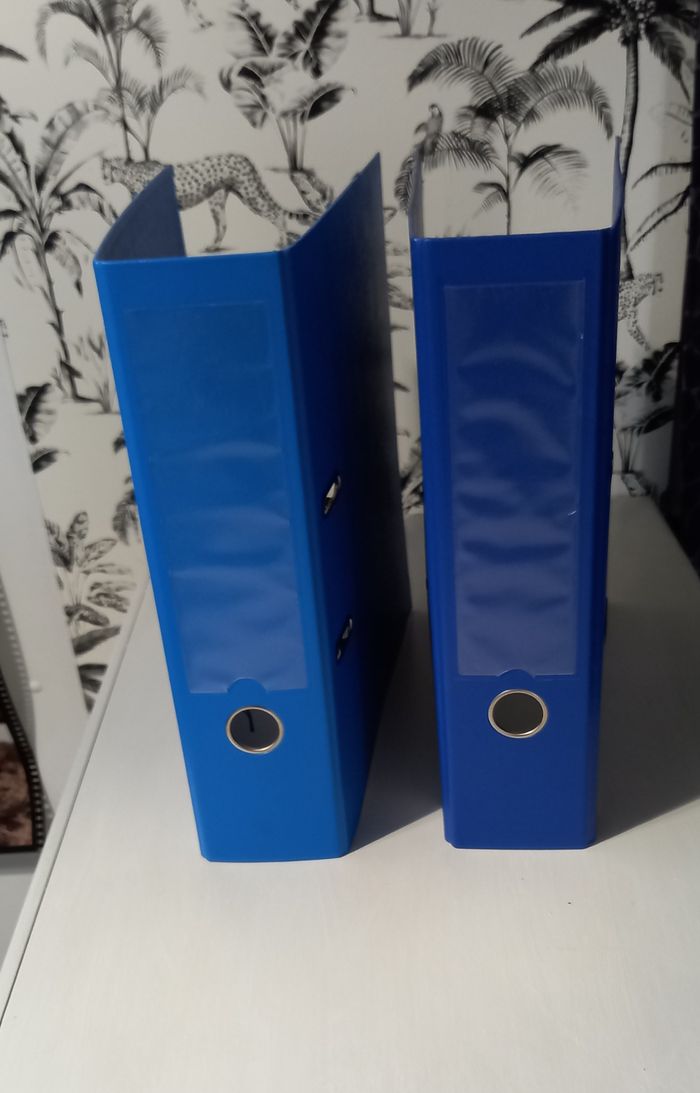 Lot de 2 classeurs bleus