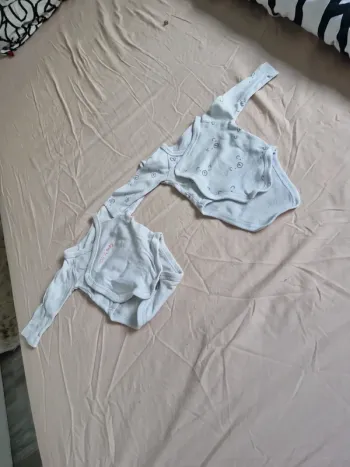 Bodies