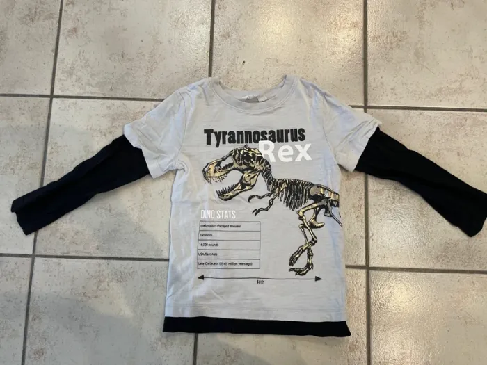 Teeshirt manches longues Dinosaure 110/116cm H&M