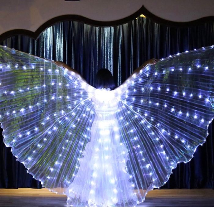 Aile scintillante lumineuse de performance - photo numéro 6