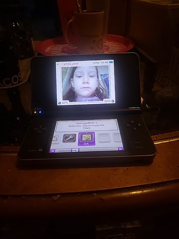 Dsi xl