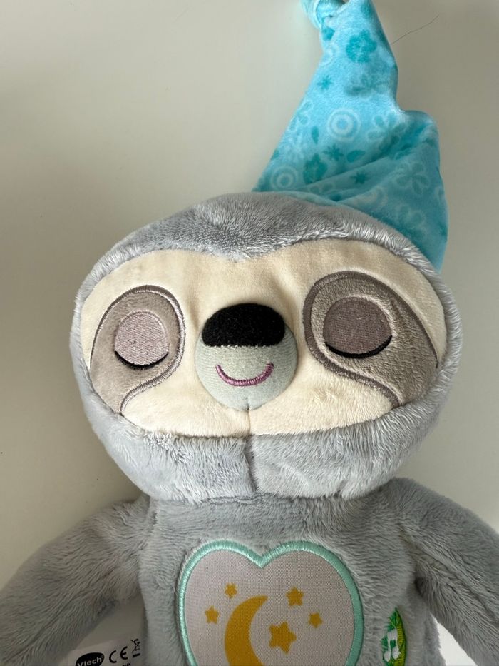 Paresseux rêves merveilleux - photo numéro 5