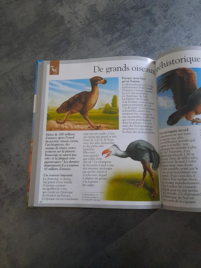 Imagia Les dinosaures et animaux disparus - photo numéro 3