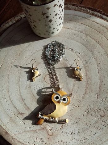 Parure bijoux hibou neuve