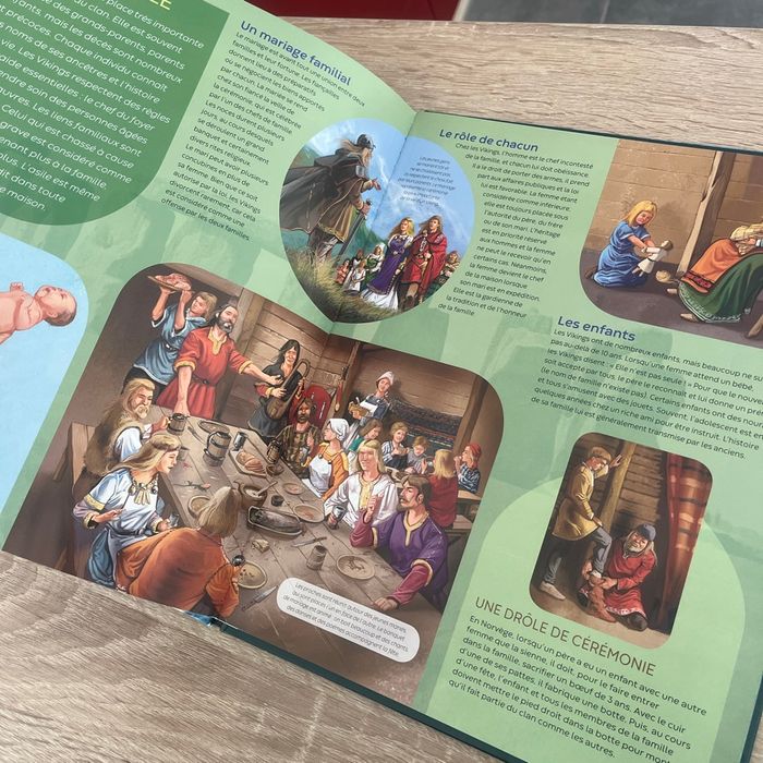 Livre viking - photo numéro 2