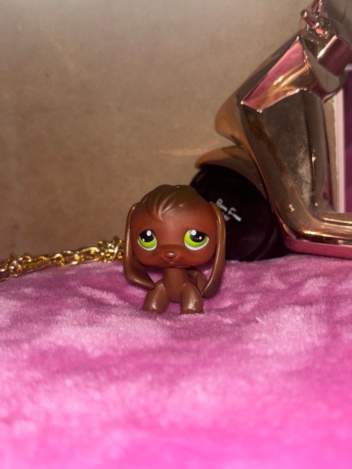 beagle #77 - photo numéro 2