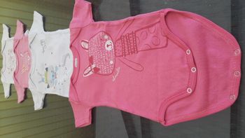Lot de 4 bodies Absorba