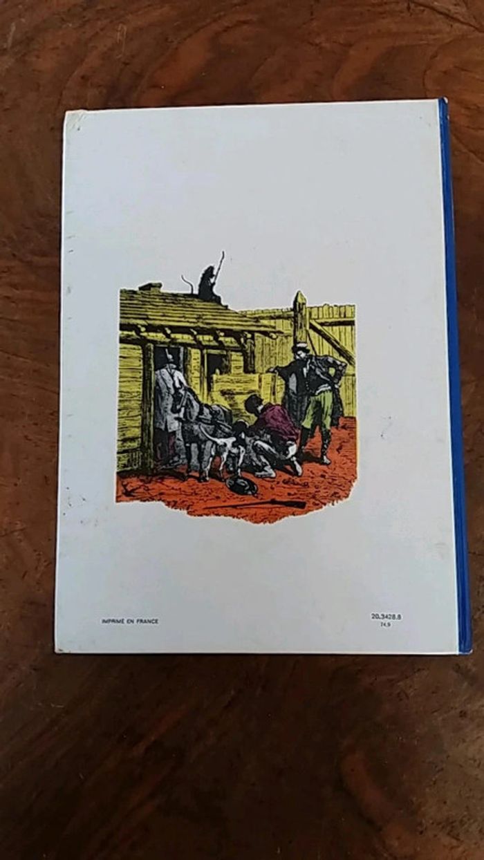 Livre l ile mystérieuse - photo numéro 2